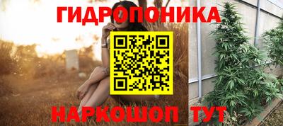 таблы Будённовск